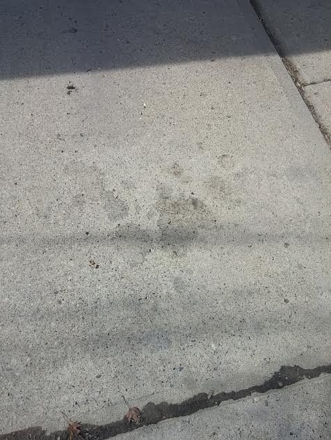 driveway cement after removal